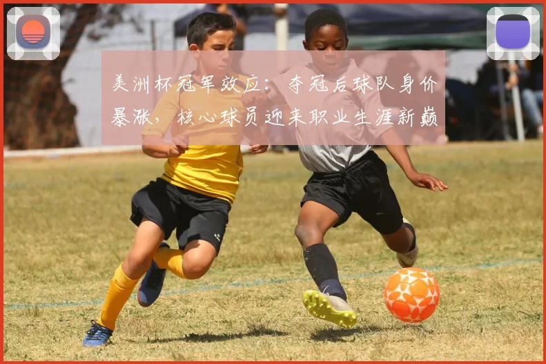 美洲杯冠军效应：夺冠后球队身价暴涨，核心球员迎来职业生涯新巅峰