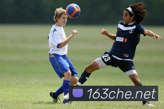 开云官方登陆入口APP 封面图